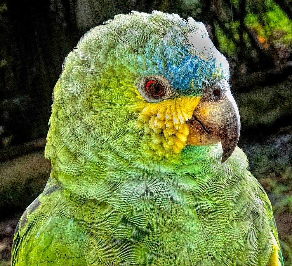 Photograph by Marcelo Luzzi