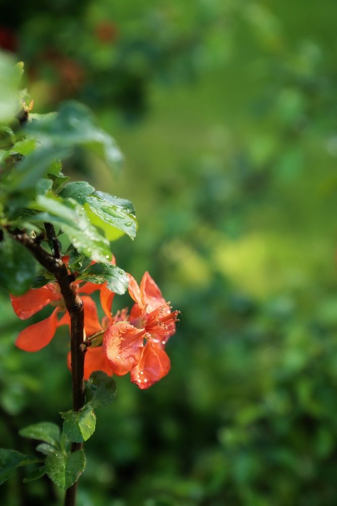 Photograph by Ирина Новицкая