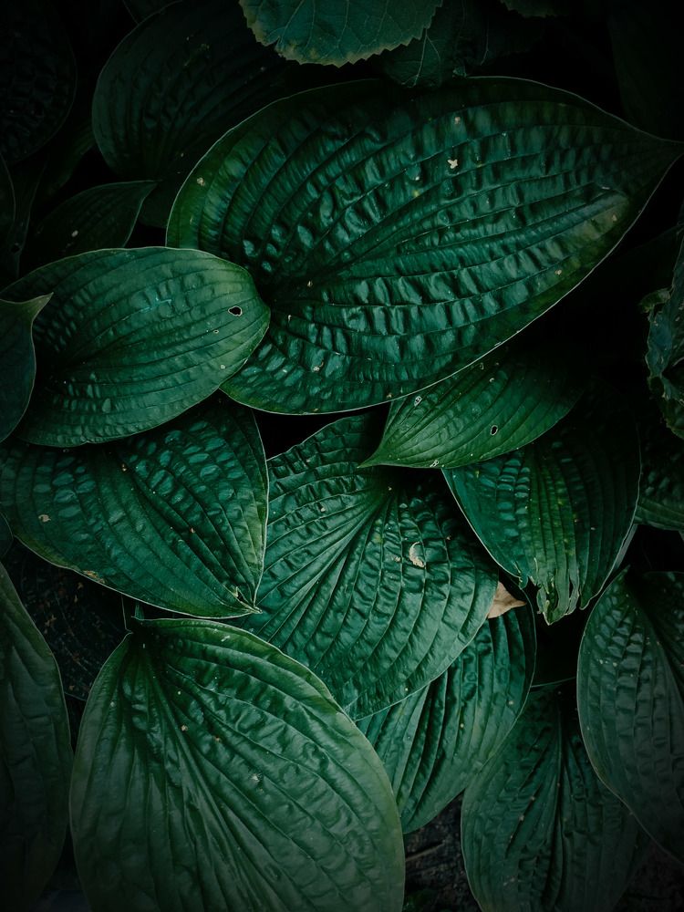 Photograph by Ирина Половцева