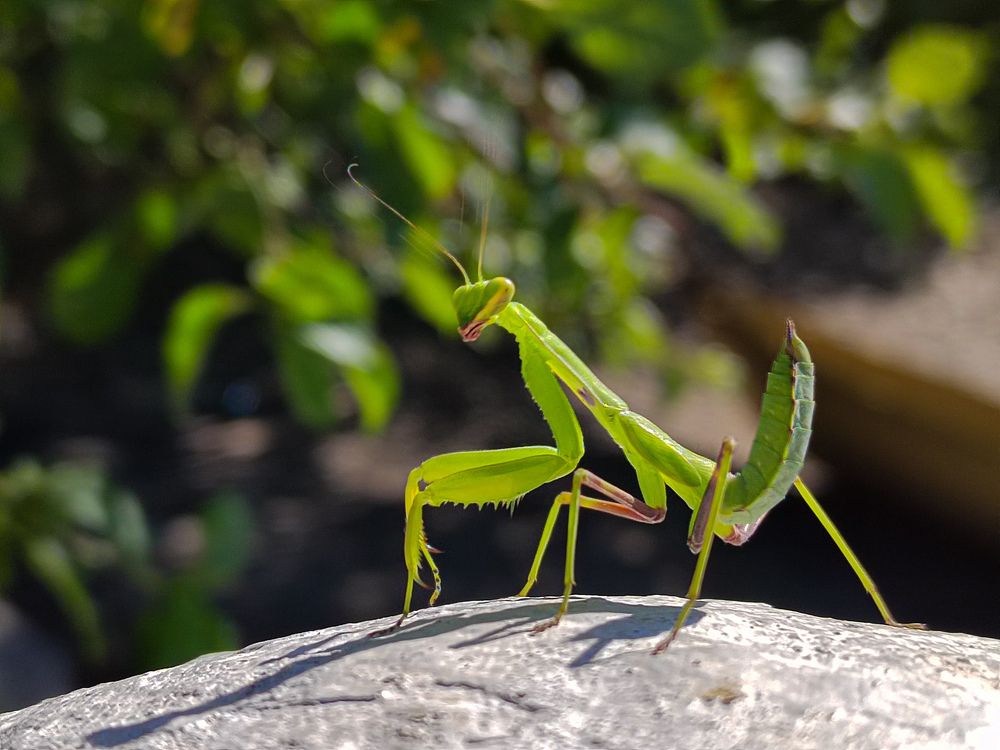 Photograph by Екатерина Слепнева