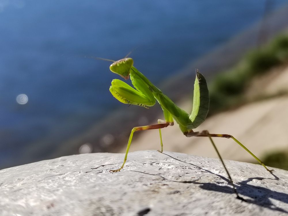 Photograph by Екатерина Слепнева