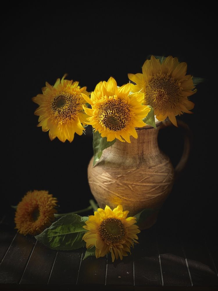 Подсолнухи