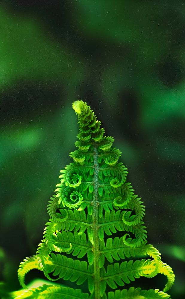 Photograph by Александр Молотков