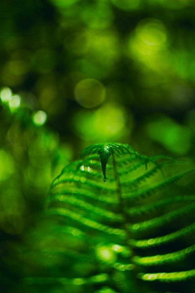 Photograph by Александр Молотков