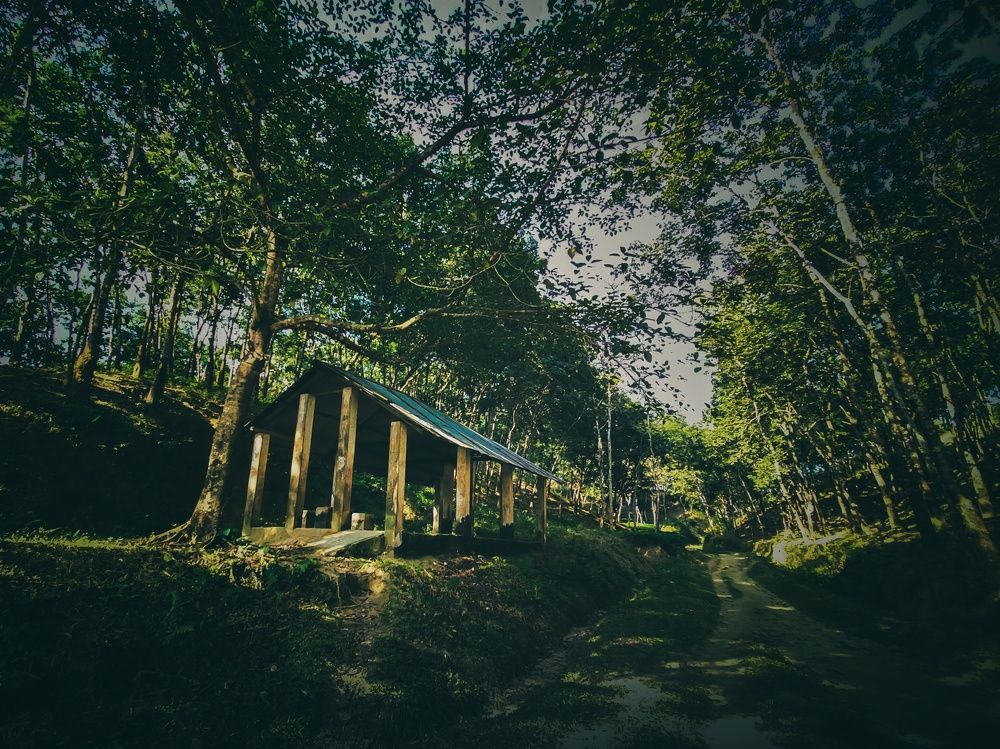 Photograph by Anik Roy (Orgho)