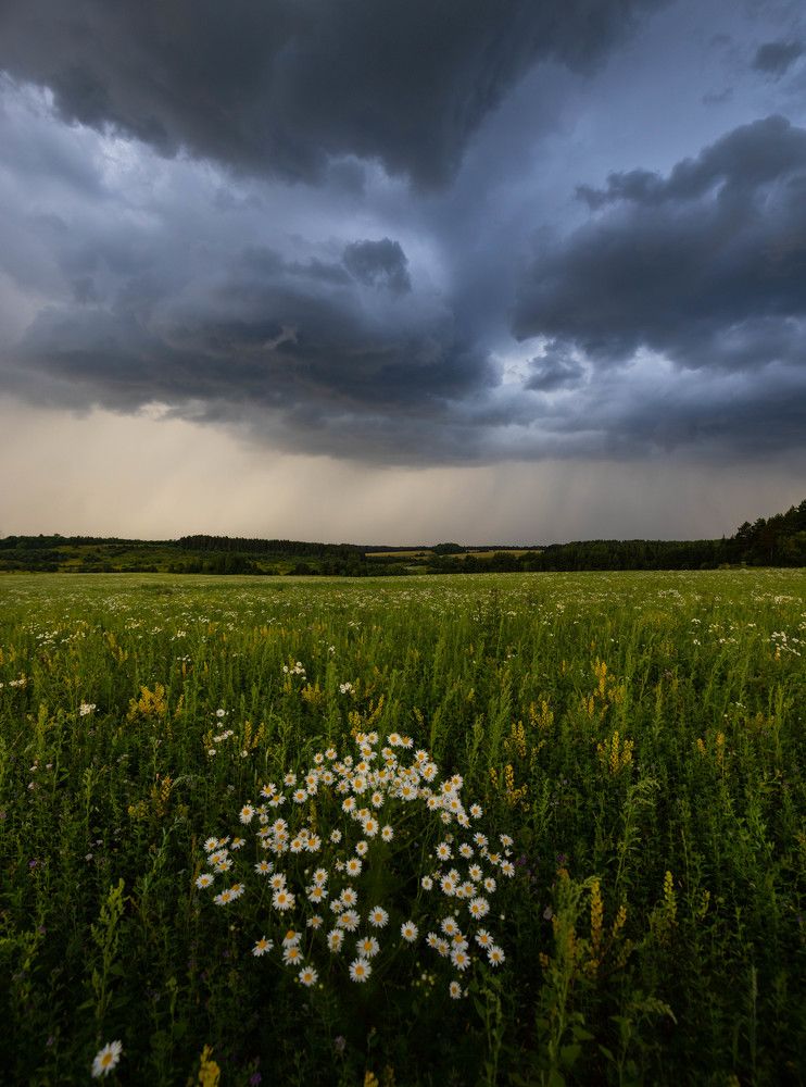 Photograph by Алексей Солоухин