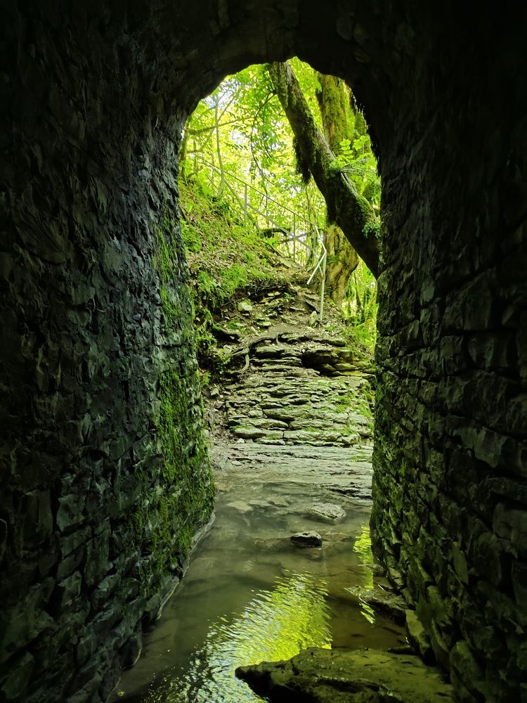 Photograph by Альфия