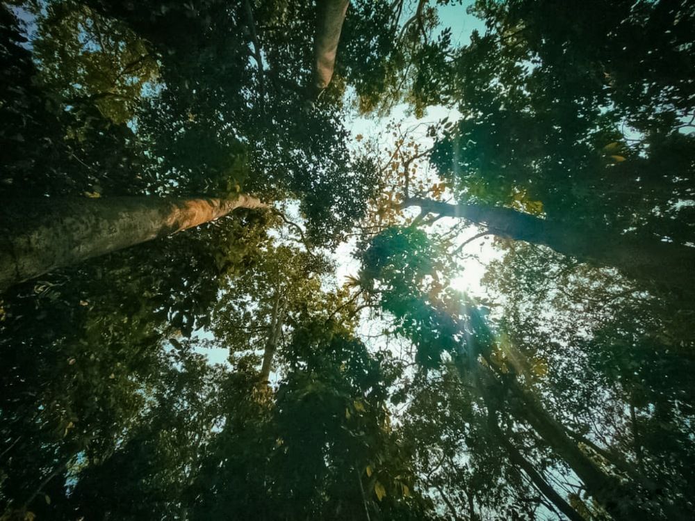 Photograph by Anik Roy (Orgho)