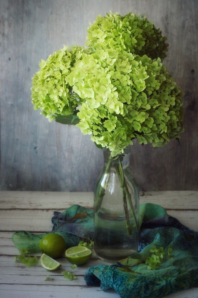 Photograph by Гульжан Шарипова