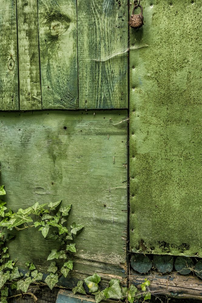 Фотография автора Milena Ivanova