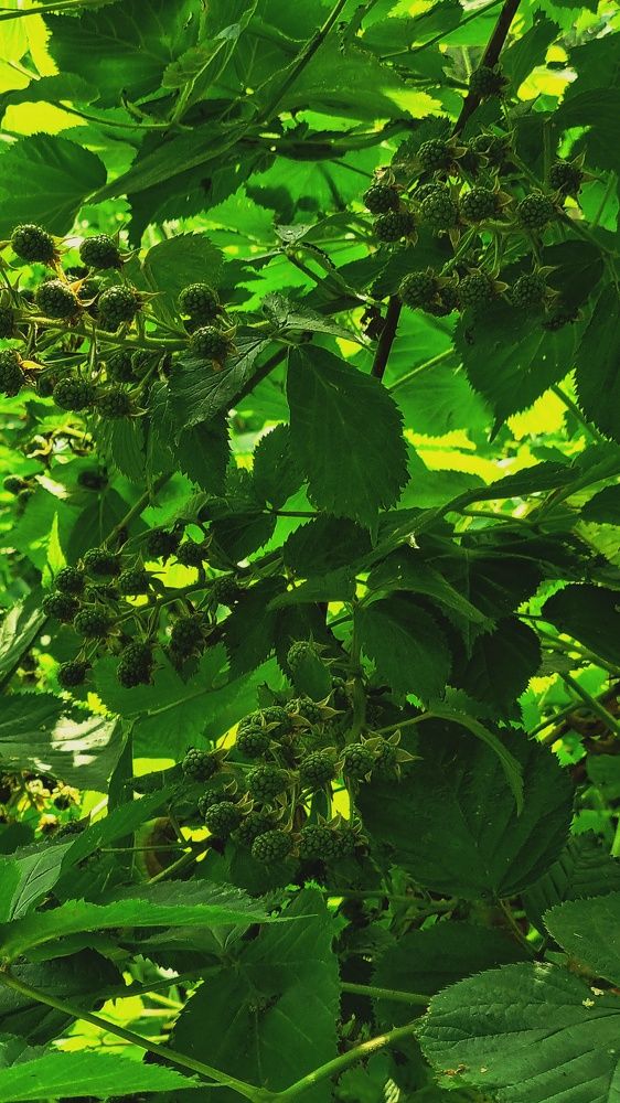 Photograph by Марина Ивасюта