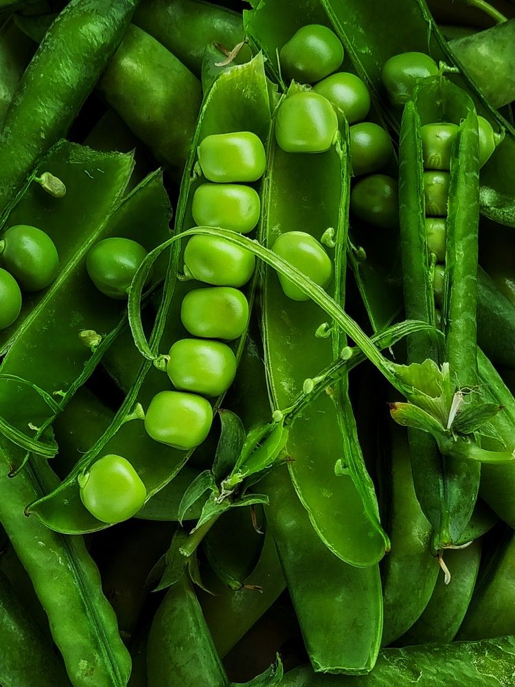 Photograph by Марина Ивасюта