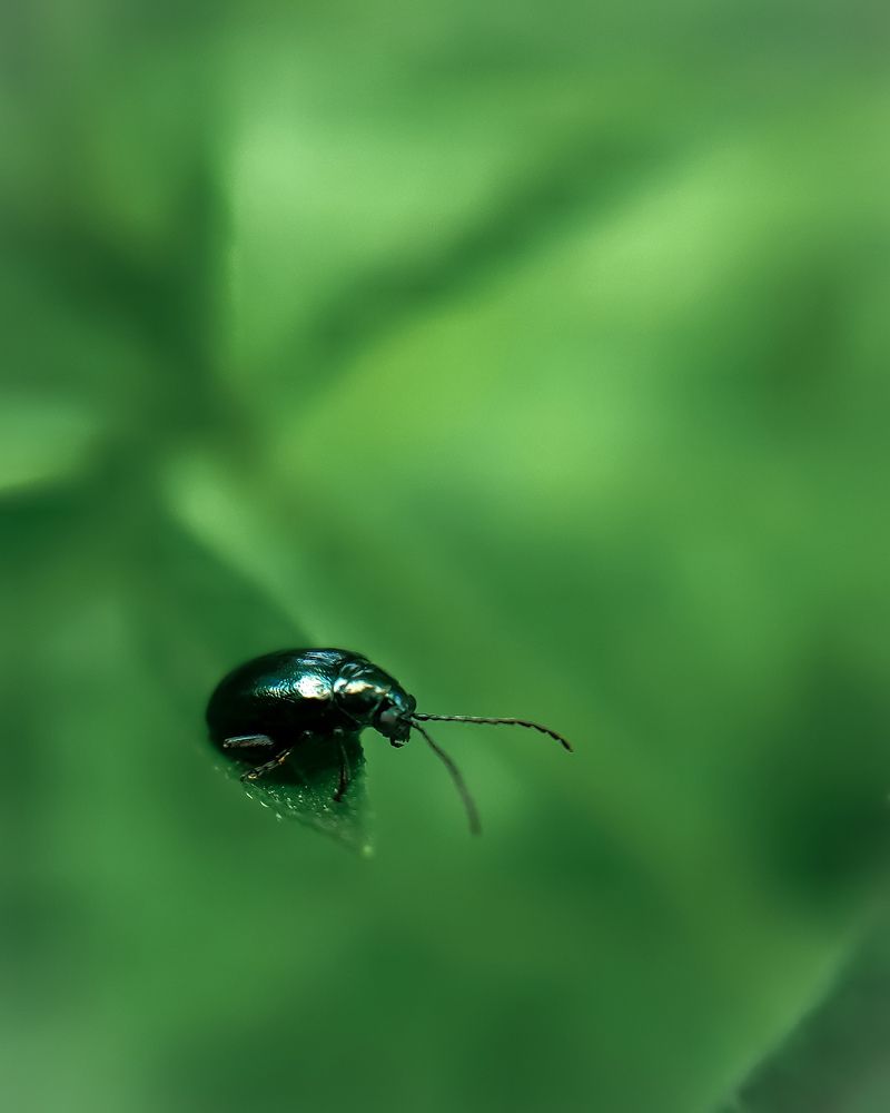 Photograph by Светлана Смирнова