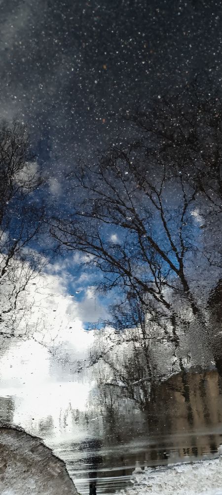Photograph by Елена Никовырина