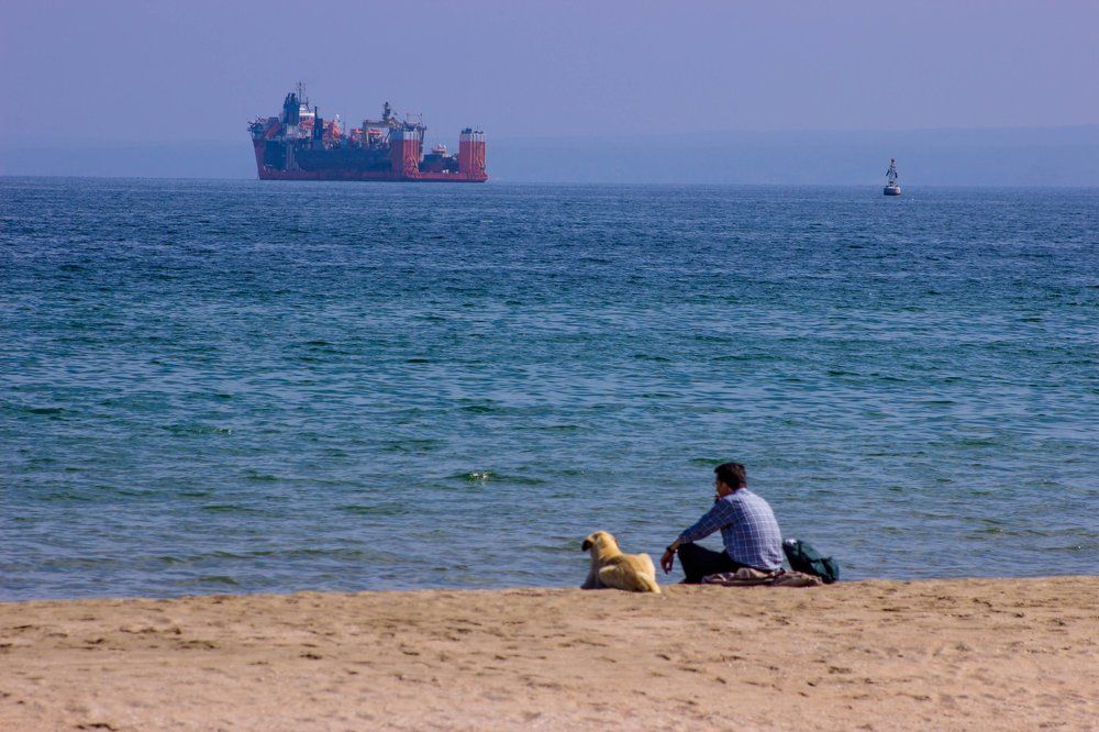 Photograph by Muharrem Bayrmoğlu