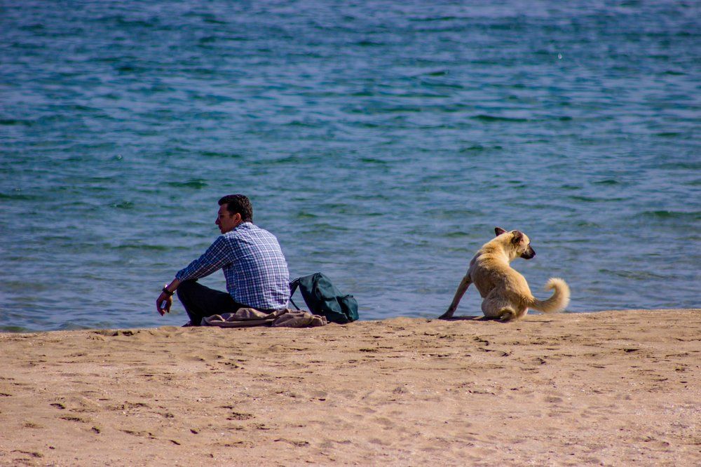 Photograph by Muharrem Bayrmoğlu