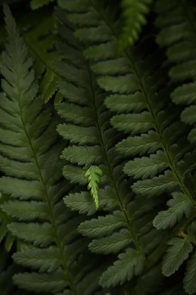 Photograph by Markéta Mastešová