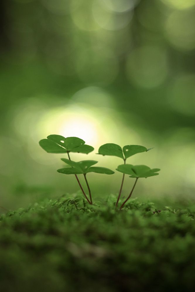 Photograph by Markéta Mastešová