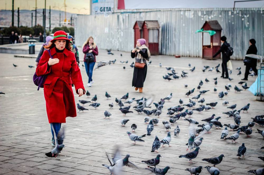 Photograph by Muharrem Bayrmoğlu