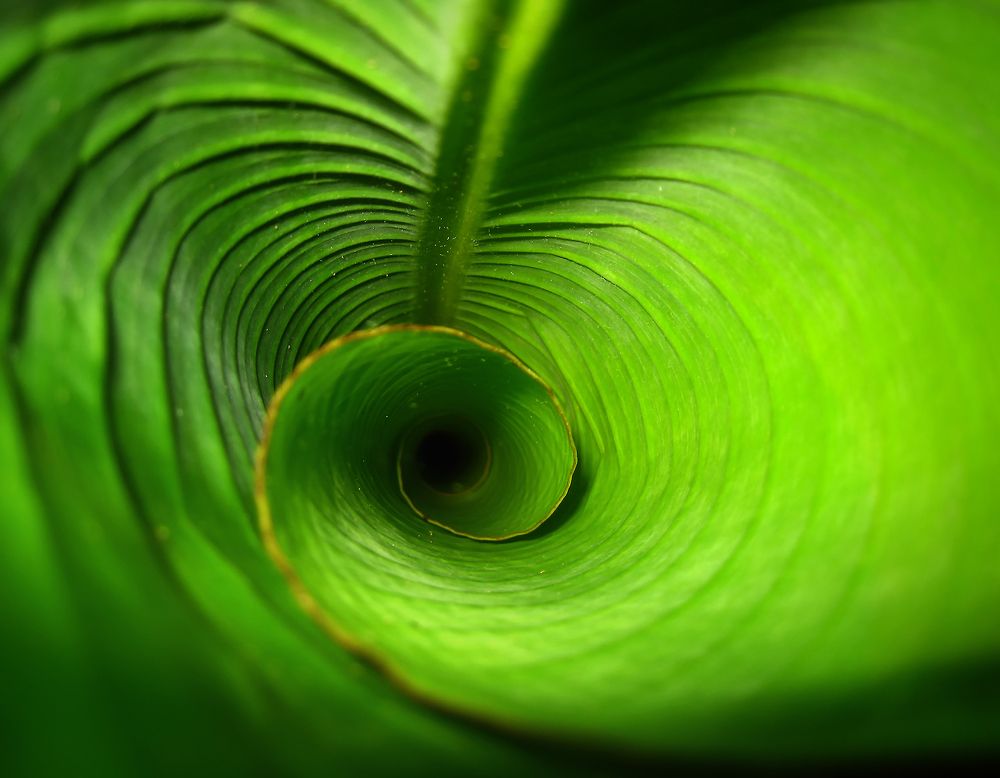 Photograph by Milena Ivanova