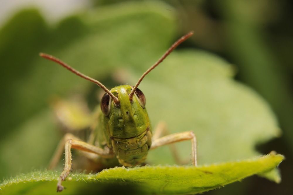 Photograph by Артем Деревенский