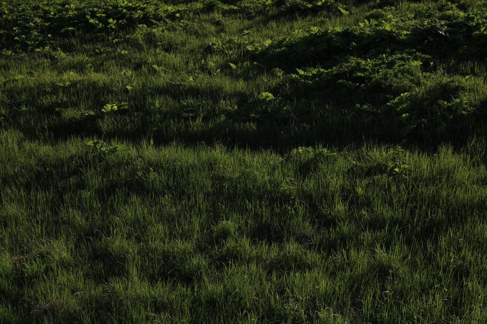 Photograph by Артем Деревенский