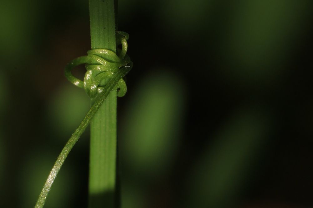 Photograph by Артем Деревенский