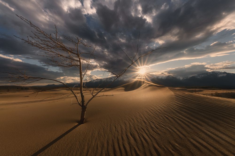 Photograph by Елена Лебедева