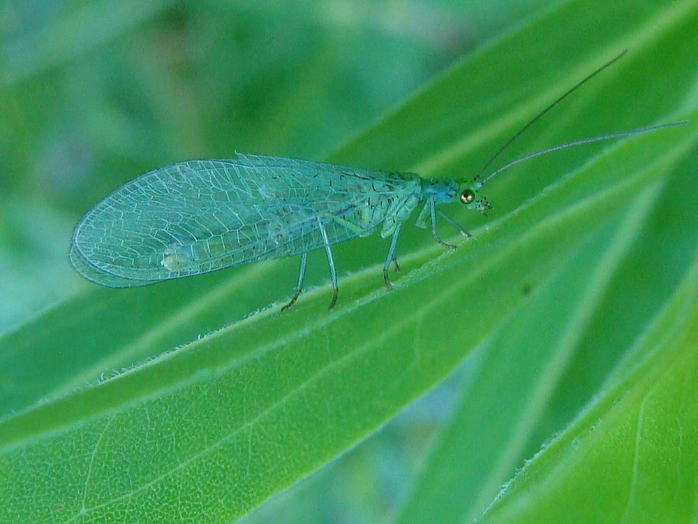 Фотография автора Павел Попов