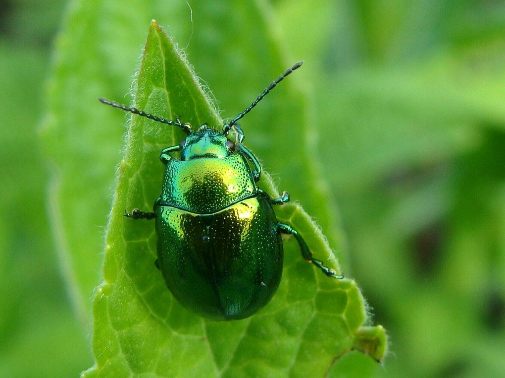 Фотография автора Павел Попов