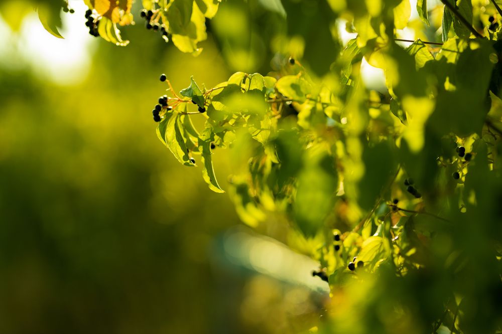 Photograph by Milana Rukaber