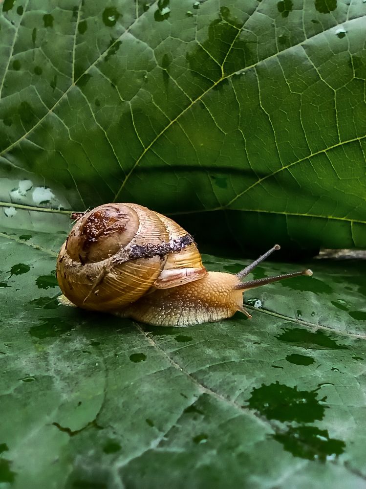 Photograph by Ирина Дегтярева