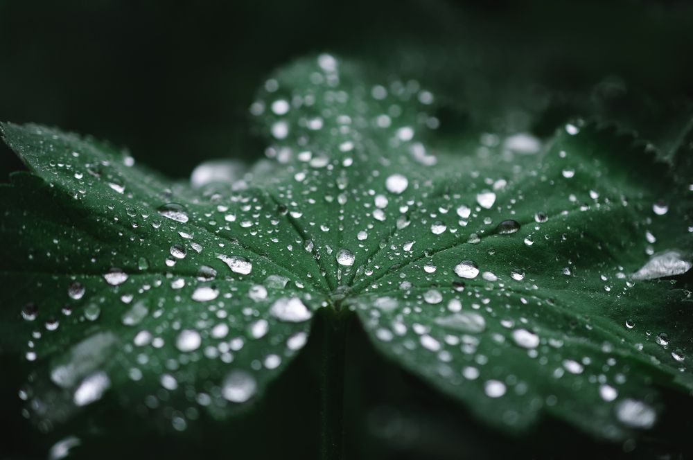 Фотография автора Мазурева Анастасия