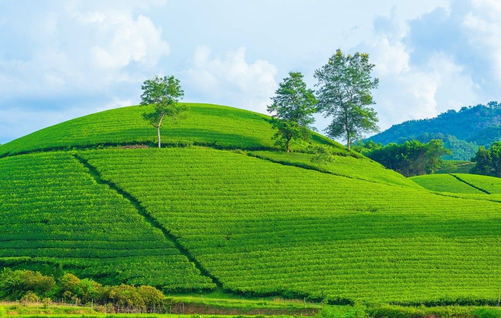 Photograph by Duc Nguyen