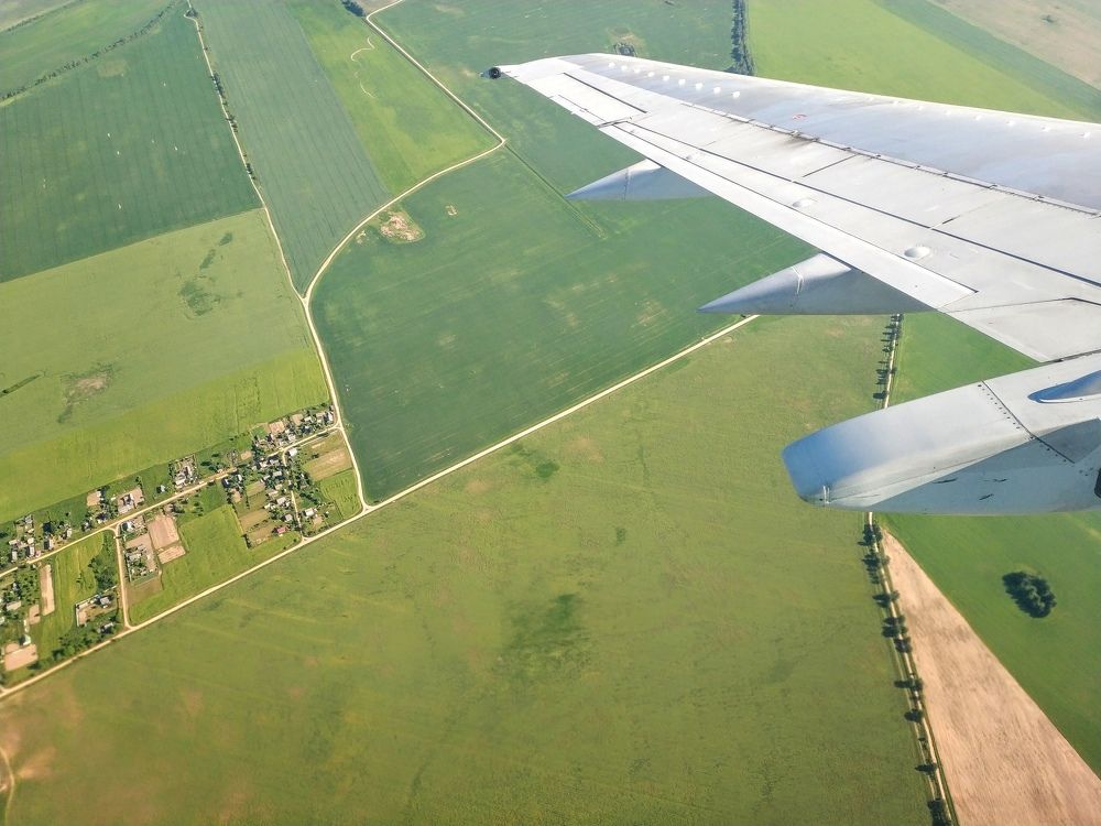 Зеленая планета