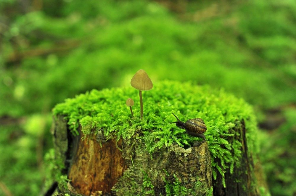 Photograph by Юрий Яковлев