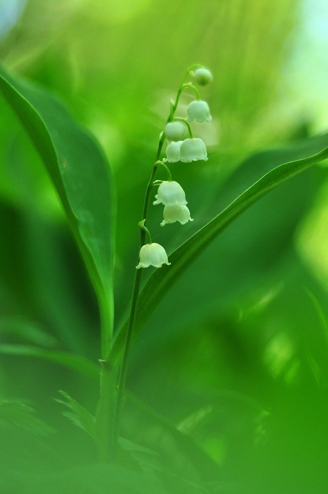 Photograph by Юрий Яковлев