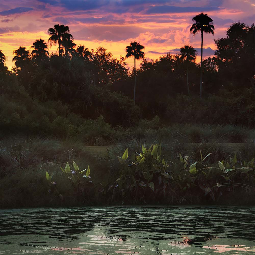 Photograph by Myles Barfield