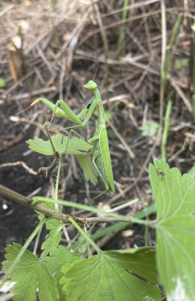 Photograph by Екатерина Василькова