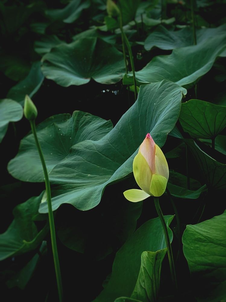 Photograph by Татьяна Семёнова