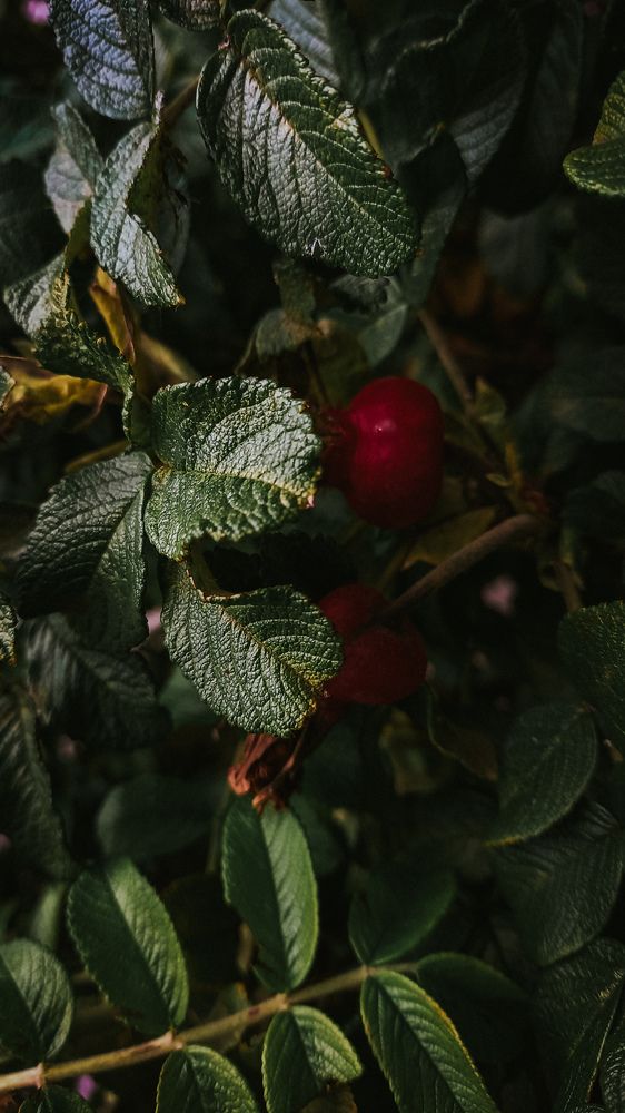 Photograph by Альбина Муртазина