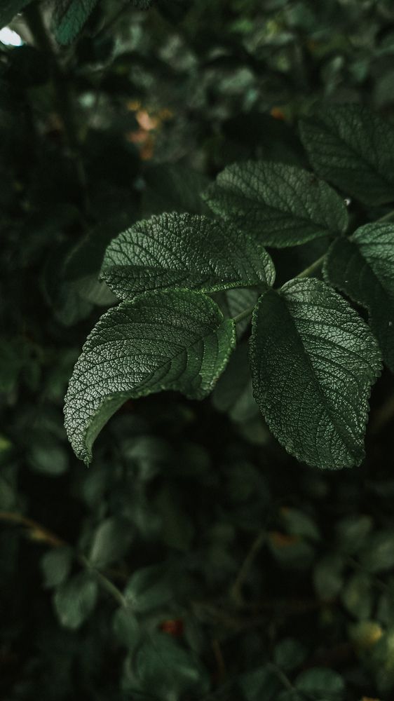 Photograph by Альбина Муртазина