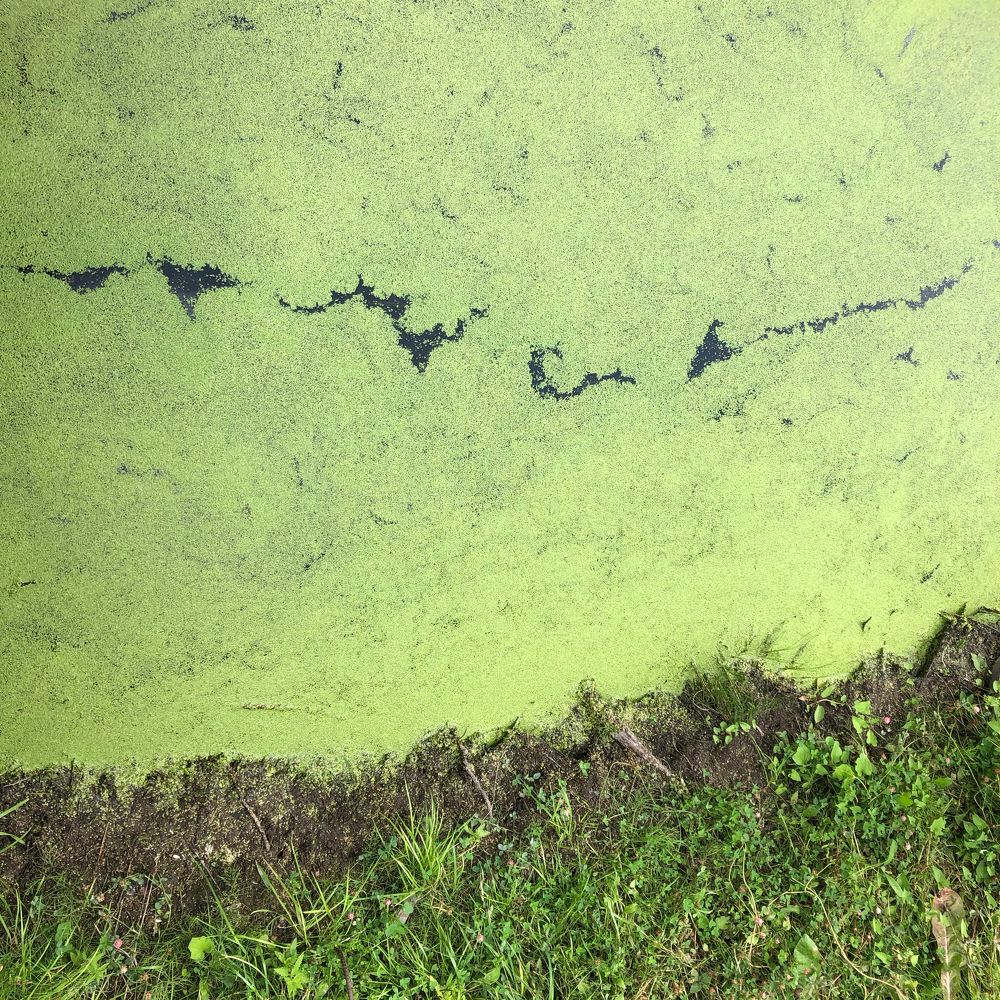 Photograph by Мария Усманова