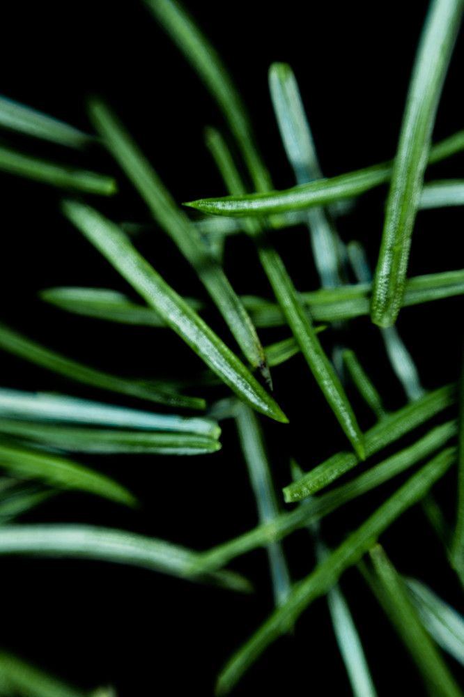 Photograph by Сергей Аникушин