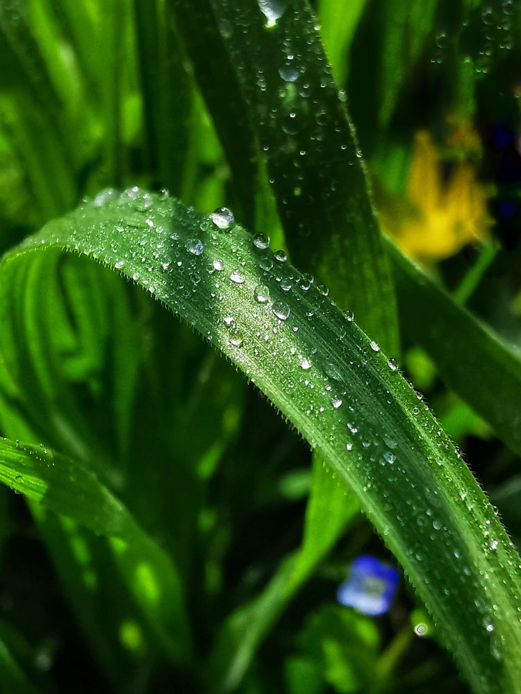 Photograph by Оксана Маракушина