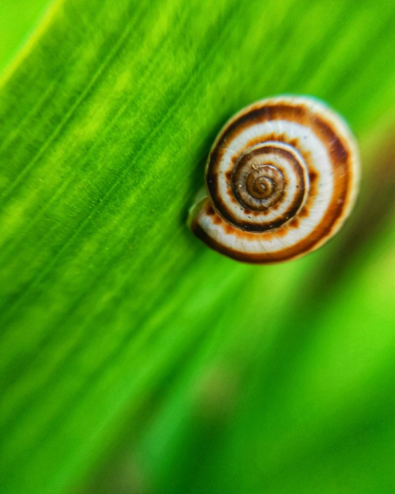 Photograph by Оксана Маракушина