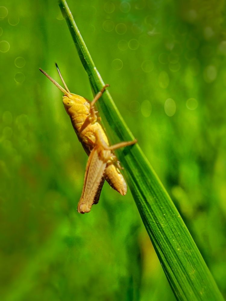 Photograph by Оксана Маракушина