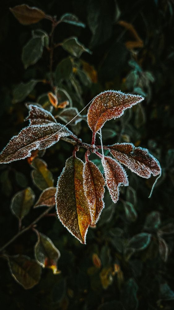 Photograph by Альбина Муртазина