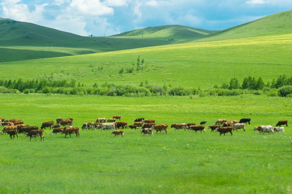 Photograph by Татьяна Пахатинская