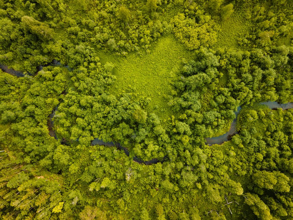 Photograph by Алексей Власов